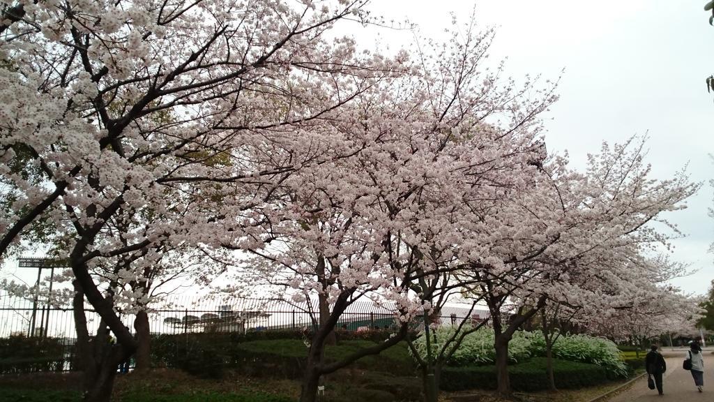 Abiko Guest House Matsubara Luaran gambar
